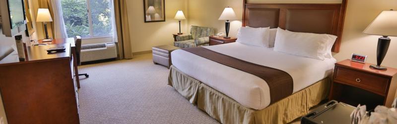 Holiday Inn Express & Suites Asheville Downtown By Ihg Exterior foto
